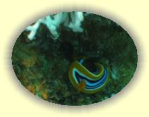 IMG_2007_05_25 18_54_47 * 800 x 600 * (64KB)